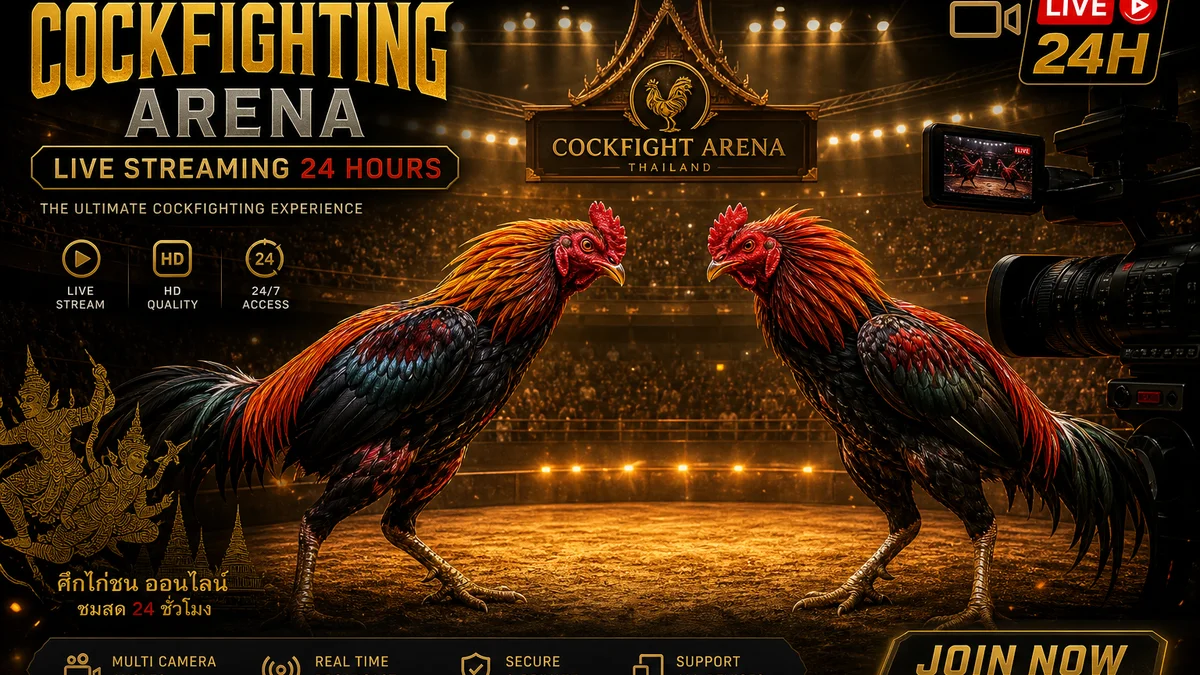 สนามไก่ชนออนไลน์ ถ่ายทอดสด 24 ชม. ครบทุกสนาม